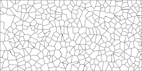 Abstract cellular pattern design featuring a network of irregular polygon shapes, a geometric illustration for science or artistic backgrounds.