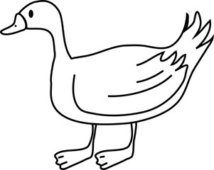 cute duck