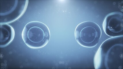 Cell division, cell connection, cell proliferation, human cells microscopic for biochemistry and DNA research in futuristic science laboratory, 3d animation rendering