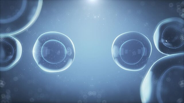 Cell division, cell connection, cell proliferation, human cells microscopic for biochemistry and DNA research in futuristic science laboratory, 3d animation rendering