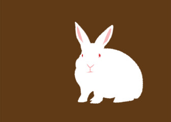 Rabbit-1