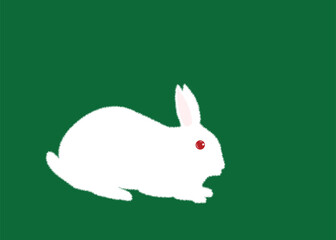 Rabbit-1
