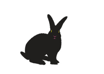 Rabbit-1