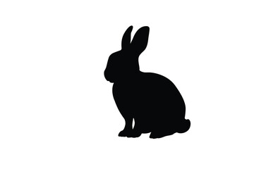 Cute rabbit shadow. Vector illustration.