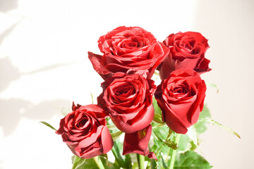 赤い薔薇