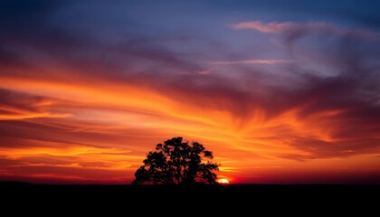 Fototapeta premium Fiery Sunset With Silhouetted Tree Against Vivid Orange and Blue Sky in a Low Angle Perspective
