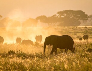 A majestic herd of elephants walking through the golden grasslands of the African