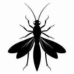 vector illustration of a black bug