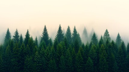 Layered Forest in Grayscale Tones