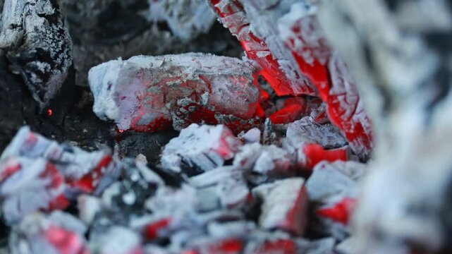 Glowing Ember Embrace: A close-up shot captures the captivating allure of smoldering embers, where radiant red glows amidst the charred remnants of wood.
