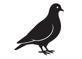pigeon logo silhouette vector, beautiful dove bird logo icon vector, pigeon bird logo silhouette, silhouette of a pigeon logo icon vector of a pigeon design on white background