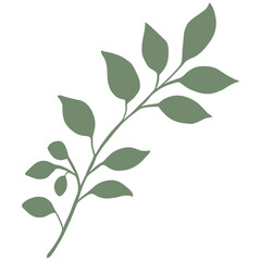 Fototapeta premium silhouette of branches and leaves