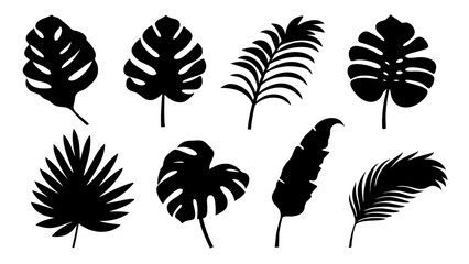 Set of palm leaves silhouettes isolated on white background.