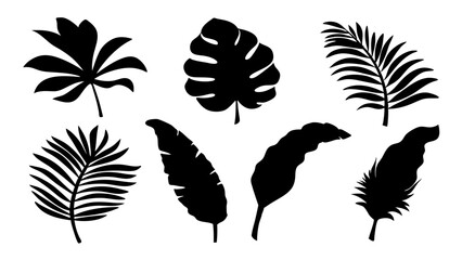 Set of palm leaves silhouettes isolated on white background. © Rani