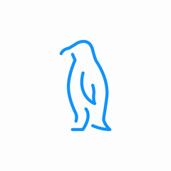 standing penguin animal icon sign vector