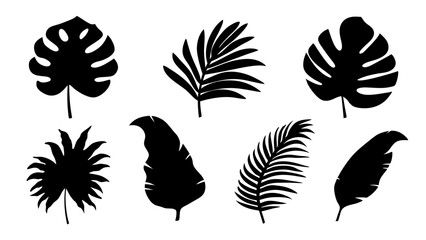 Set of palm leaves silhouettes isolated on white background.