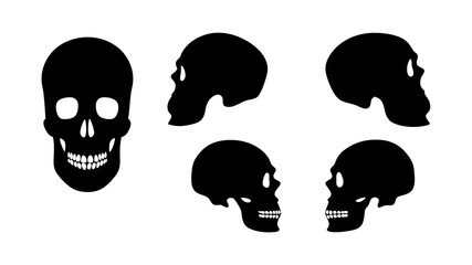 Skull Silhouette