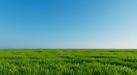 Fototapeta premium Green Field under Blue Sky