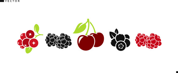 Organic food. Berries and fruit vector. Isolated cherry raspberry blueberry cranberry and blackberry 