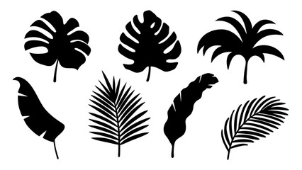 Set of palm leaves silhouettes isolated on white background.