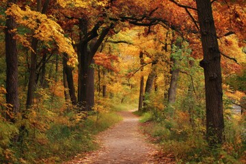 Obraz premium Colorful Autumn Forest Path Surrounded by Vibrant Trees Showcasing Fall Foliage Hues Generative AI
