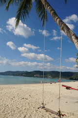 Tranquil Beach Scene with Palm Trees and Swing under Blue Sky and White Clouds