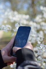 Blue Snowdrops, Macro Shot Growing from the Ground, Nature in Spring  iPhone 15