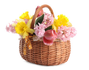 Beautiful colorful flowers in basket isolated on white