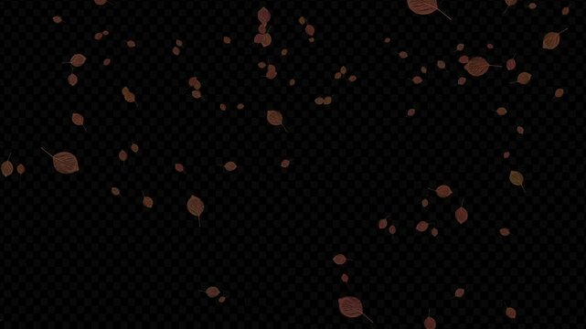 Summer leaves background