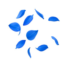 Naklejka premium Flying blue petals isolated on transparent or white background