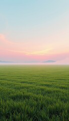 Obraz premium Serene Green Field at Sunrise