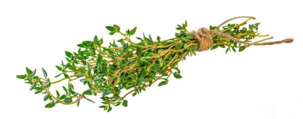 Bunch of thyme tied with twine, Thyme spice isolated on white background,
