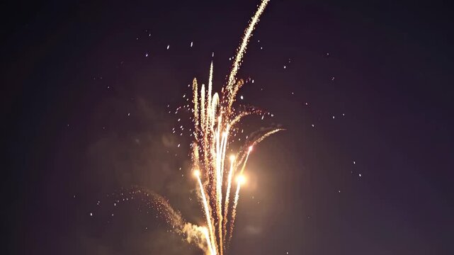 Spectacular night fireworks display illuminating the sky with colorful fountains and bursts