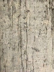 Aged Concrete Wall with Vertical Streaks and Rough Texture