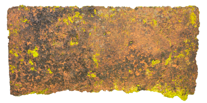 Mossy Red Brick Wall Texture with Grunge and Lichen Detail Isolated on Transparent Background