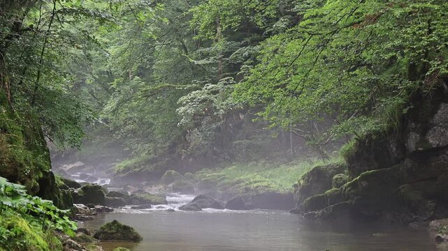 Les gorges de Malvaux sont des gorges du massif du Jura, o&ugrave; coule la rivi&egrave;re Saine, entre la commune de Foncine-le-Bas et la commune des Planches-en Montagne, dans le d&eacute;partement du Jura