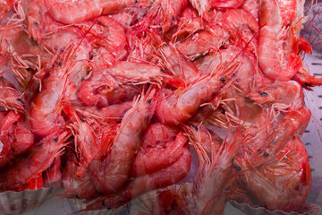 Heap of whole cooled red large prawns on fish market