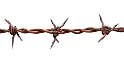 Rusty Barbed Wire isolated on transparent white background, clipping path