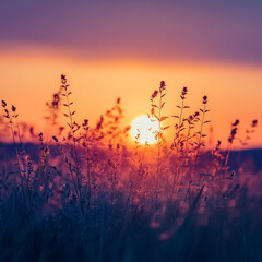 Sunset is the most beautiful landscape. Creative banner. Copyspace image