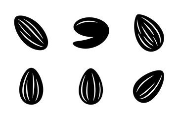 Almond seeds illustration set black and white art