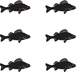 Premium vector. Silhouette perch fish on white background. 