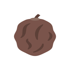 Illustration of a single dried date with a brown color and a small stem against a white background