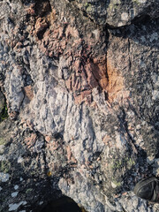 Close-up geological photograph of rough, fractured Bornholm granite on the coast, showing large pink, white, and gray mineral crystals, moss, and lichen on a sunny day.