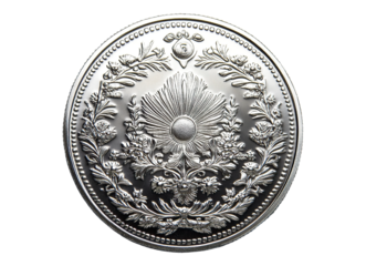 Gleaming Silver Coin