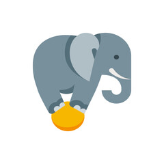A gray elephant balancing on a yellow ball with its front feet in a cartoon style illustration art