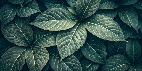 Lush Green Leaves Background Close-Up Texture of Vibrant Foliage