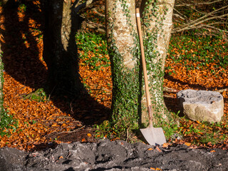 A shovel is leaning against a tree in a forest. The leaves on the ground are brown and scattered.. Park maintenance and care. Hard manual labor concept.
