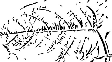 Obraz premium vector illustration of a silhouette of a tree