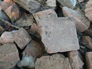  construction waste in the forest