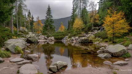 mountain river in the mountains
